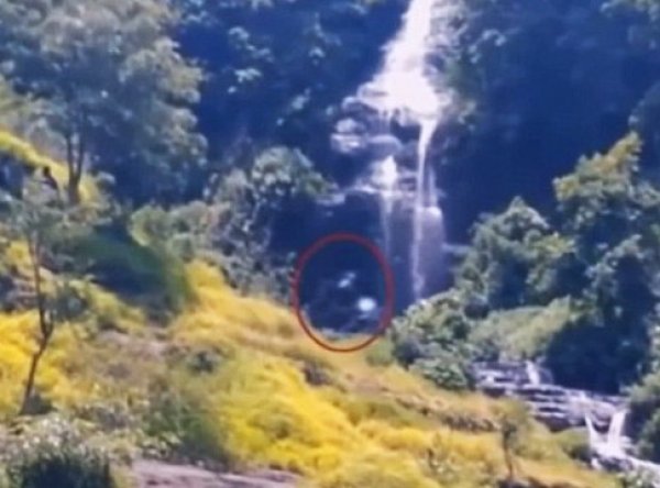 На Youtube появилось ВИДЕО гигантского монстра, перешагнувшего реку в Индонезии