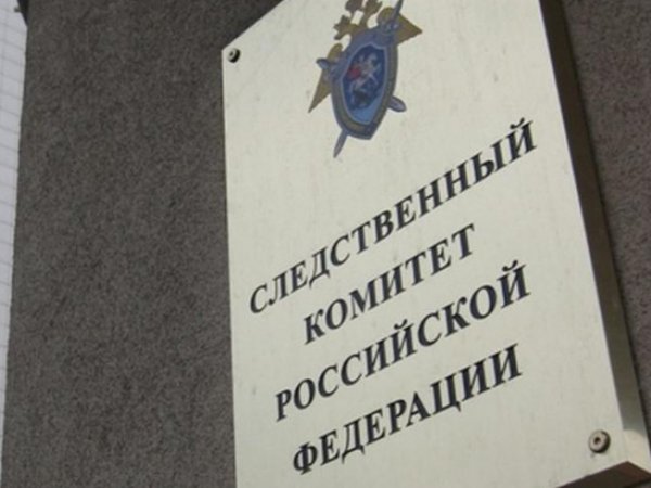 Жителя Петербурга вызвали на допрос в СКР из-за картины Васи Ложкина в соцсетях