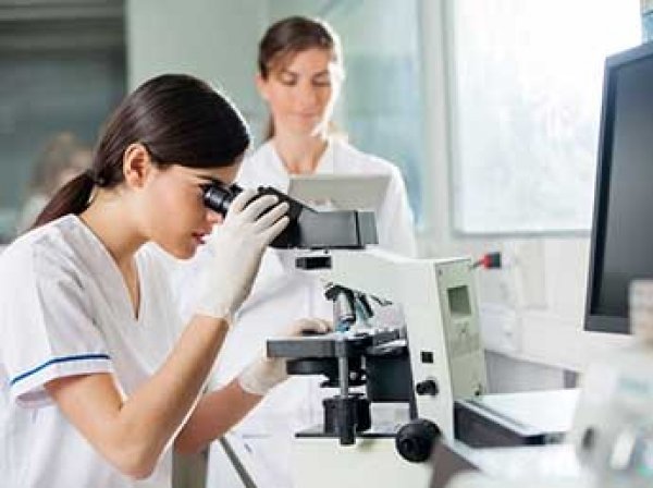 Генетики узнали, как продлить жизнь человека на 60%