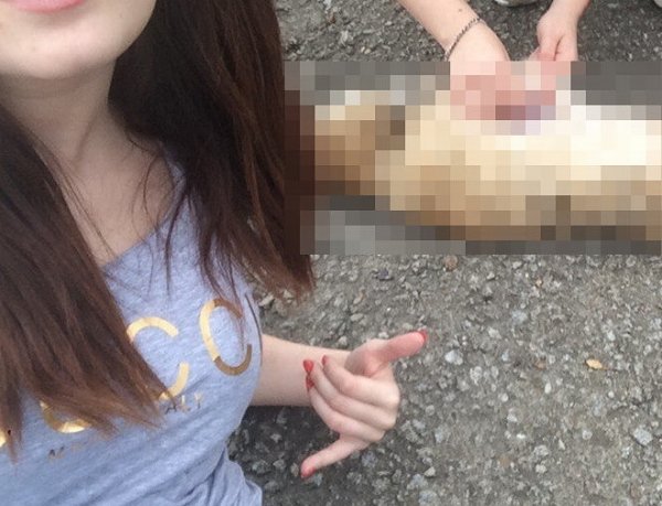 СМИ: две студентки из Хабаровска расчленяли животных, отданных в "добрые руки" (ФОТО)