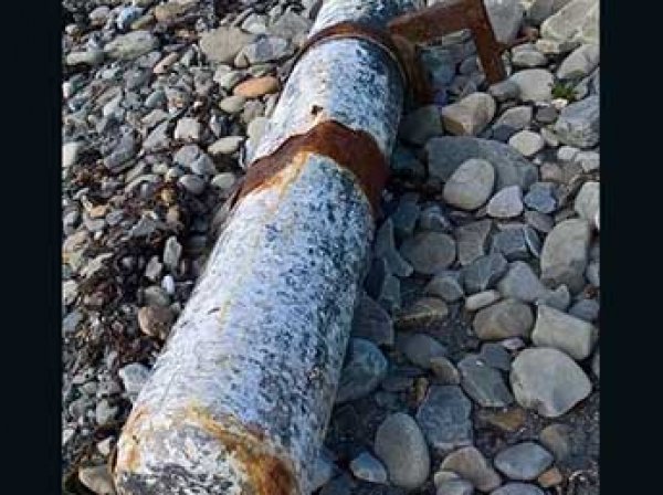 В Ирландии море выбросило на берег торпеду с кокаином на 5 миллионов евро (ФОТО)
