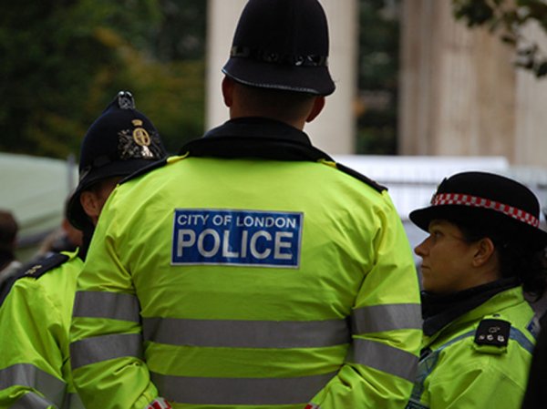 Британская полиция арестовала мужчину за изнасилование в здании парламента
