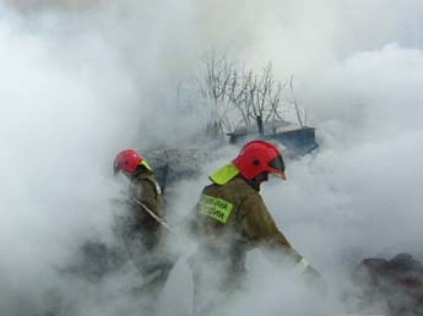 В Липецкой области на пожарище нашли труп 4-летней девочки с перерезанным горлом