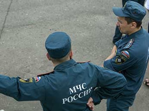 СМИ сообщили о бомбе, найденной в междугородном автобусе в Москве