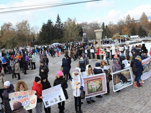 Живодерки из Хабаровска стали причиной массовых акций протеста в российских городах (ФОТО)