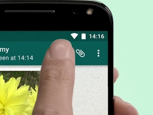WhatsApp анонсировал появление видеозвонков в ближайшие дни (ВИДЕО)