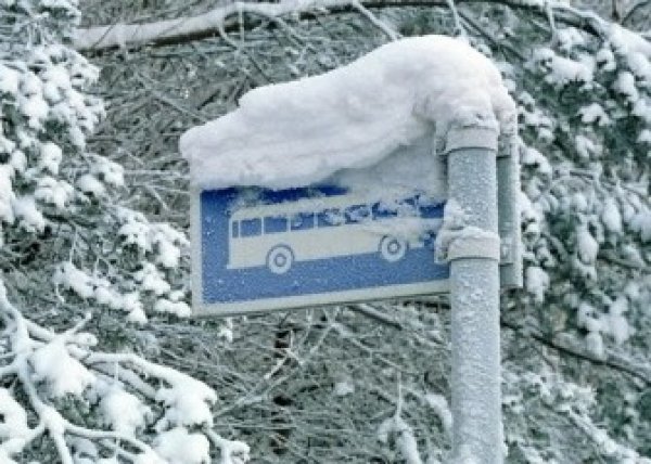 В Екатеринбурге кондуктор в 30-градусный мороз высадил из автобуса 9-летнюю девочку