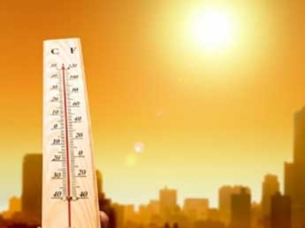 Климатологи рассказали, когда аномально жаркое лето на Земле станет нормой