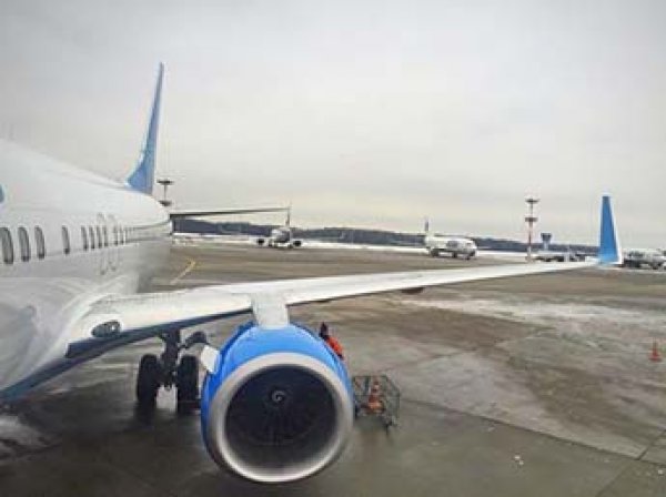 СМИ: Россия может заморозить авиасообщение с Таджикистаном