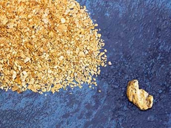 В Приамурье мужчина получил 1,5 года условно за найденный клад с золотом