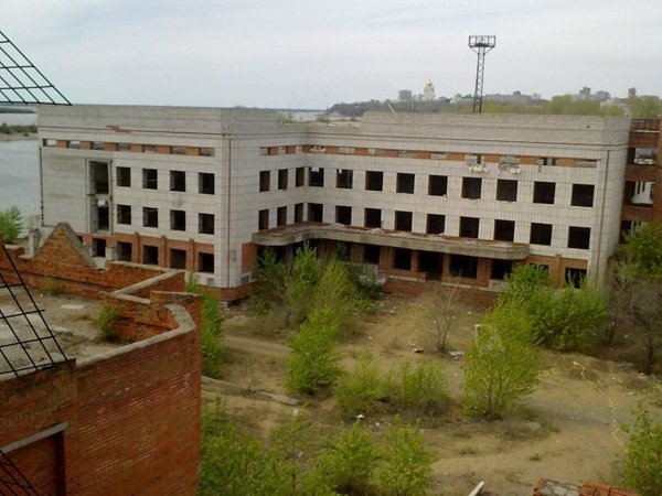 Живодерки из Хабаровска пытали бездомного — СМИ (ФОТО)