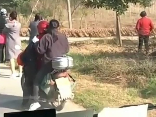 ВИДЕО "бесконечного потока" уток, переходящих дорогу в Китае, стало мегахитом на Yuotube