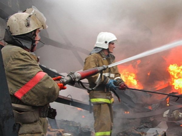 В центре Санкт-Петербурга прогремел взрыв, есть пострадавшие