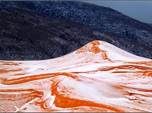 В пустыне Сахара впервые за 40 лет выпал снег (ФОТО)