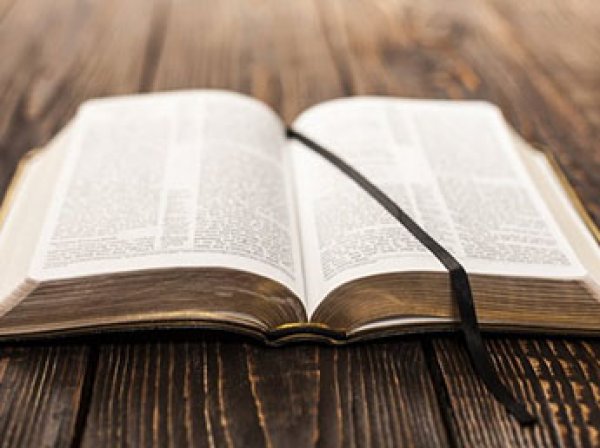 В РПЦ назвали "большим перегибом" уничтожение 40 Библий по "закону Яровой"