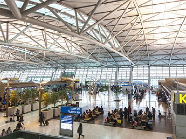 В аэропорту Сеула задержаны 24 россиянина