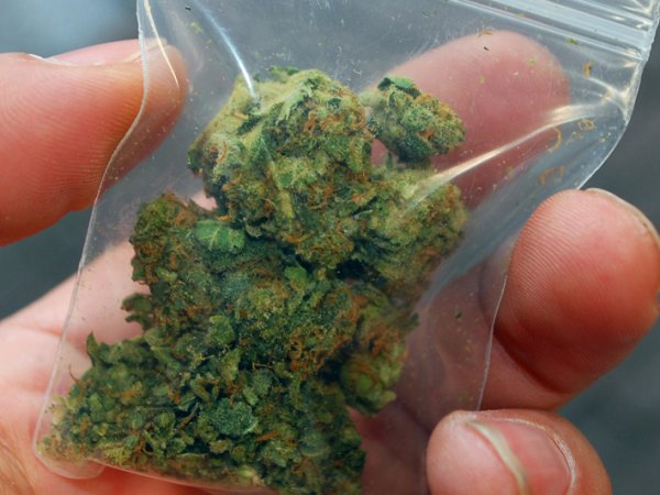 В Грузии перестанут сажать за употребление марихуаны