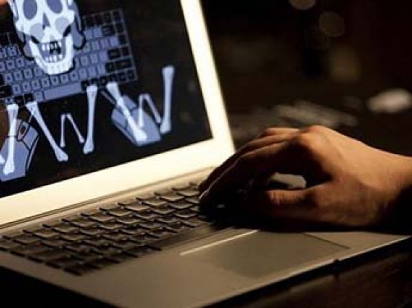 IT-эксперт: российские чиновники и силовики активно скачивают пиратский контент