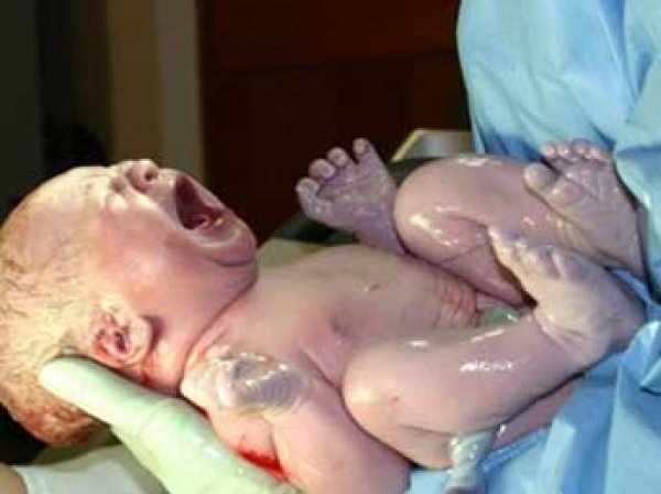 На Украине на свет появился первый в мире ребенок от трех родителей