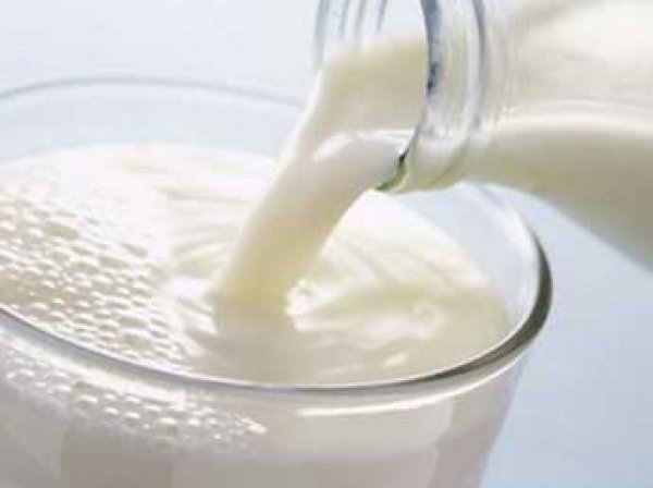 Фермеры предупредили Минсельхоз о скором росте цен на молоко