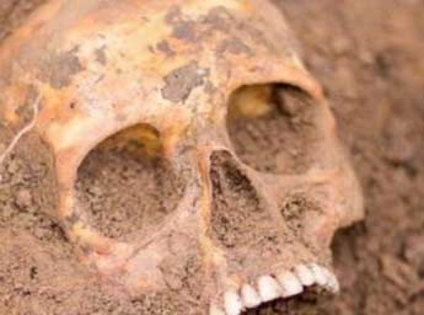 Ученые нашли на Ямале таинственные могилы людей в странных позах