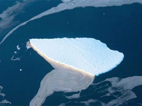 От ледника в Антарктиде откололся огромный айсберг размером с Манхэттен (ВИДЕО)