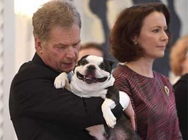 "Улыбчивая" собака президента Финляндии стала звездой соцсетей (ФОТО)