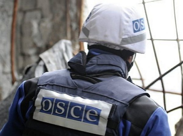СМИ: украинский «Бук» обстрелял беспилотник ОБСЕ над Макеевкой