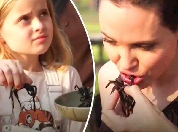 YouTube шокирован ВИДЕО, как Анджелина Джоли накормила своих детей пауками
