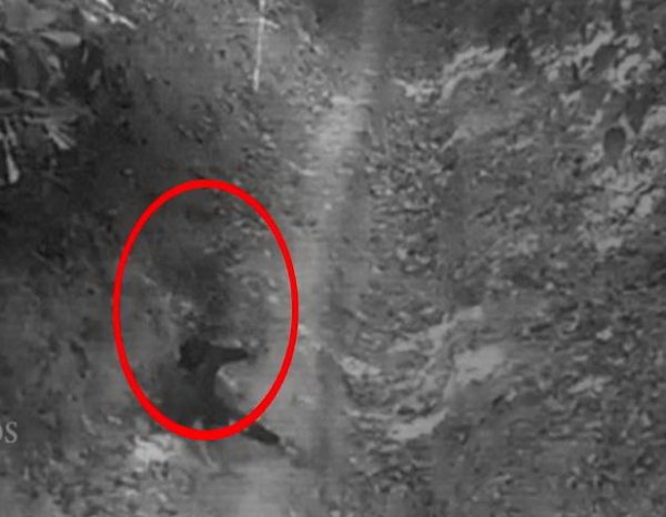 YouTube "взорвало" ВИДЕО, как призрак напал на мальчика в лесу