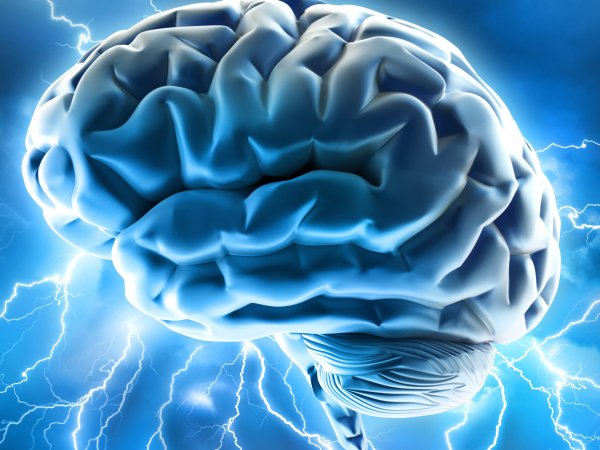 Ученые рассказали об уникальном случае жизни мозга  человека после смерти