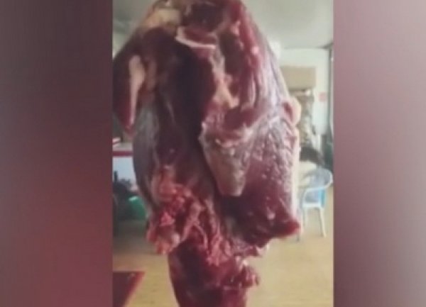 YouTube ВИДЕО: "оживший" кусок говядины в лавке мясника шокировал Сеть