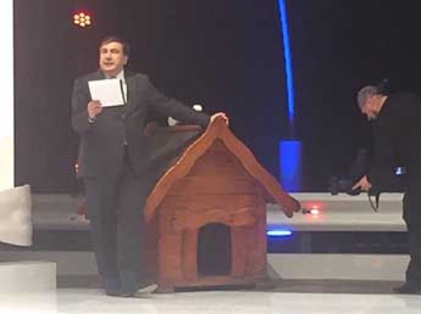 Саакашвили стал телеведущим ток-шоу «Другая Украина»