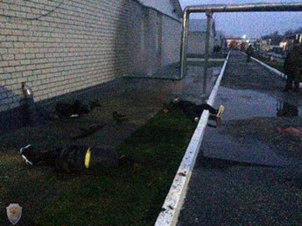 СМИ: во время атаки боевиков на часть Росгвардии в Чечне дежурные на КПП спали (ВИДЕО)