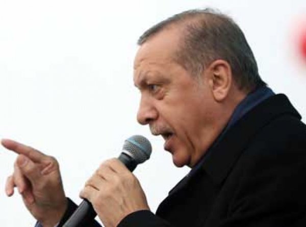 "Снова Путин виноват": Forbes пишет, что Эрдоган устроил переполох в Голландии по заданию РФ