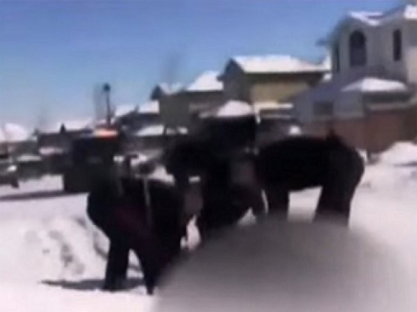 Опубликовано видео с места убийства россиянина в Канаде