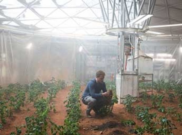 Ученые НАСА впервые вырастили картофель в марсианской атмосфере (ВИДЕО)