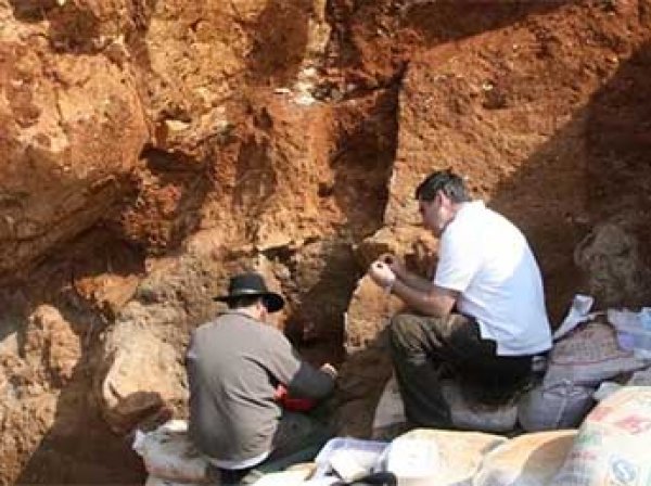 В Индии найдены остатки древнейших растений, которые шокировали ученых