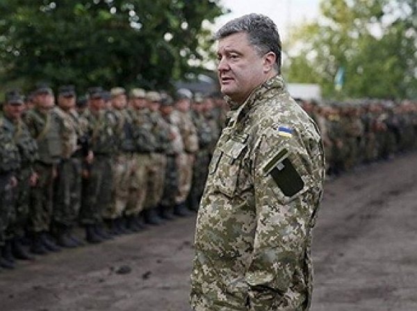 Порошенко приказал ВСУ прекратить огонь в Донбассе