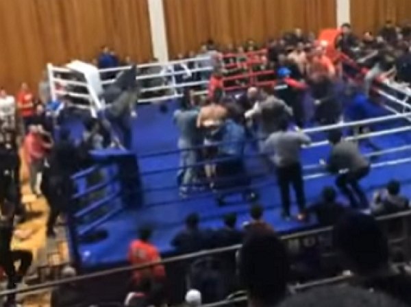 YouTube ВИДЕО: бой чемпионата Дагестана по ММА закончился массовой дракой