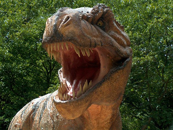 Ученые нашли самый большой след динозавра (ФОТО)