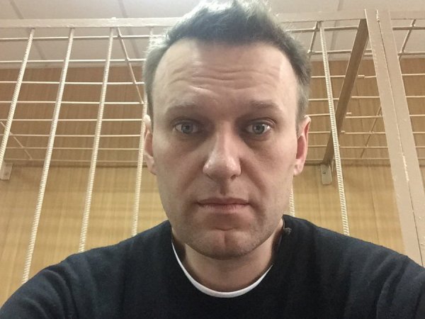 Суд арестовал Алексея Навального на 15 суток (ФОТО)
