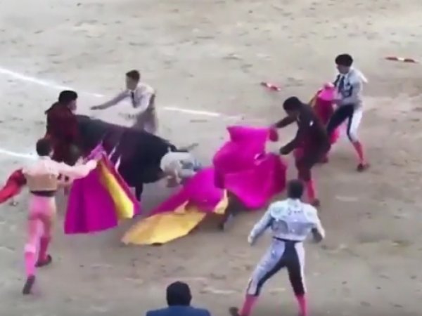 YouTube ВИДЕО: в Испании бык насадил тореадора на рога во время корриды