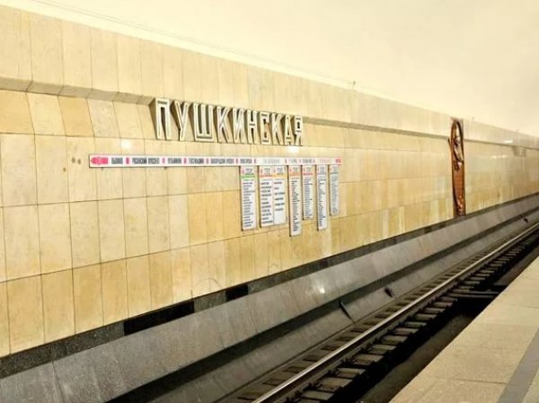 В Москве кинолог накрыл собой упавшего под поезд пассажира метро