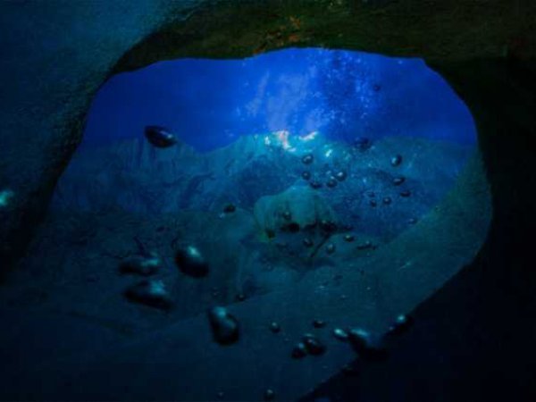 Ученые нашли следы жизни под Марианской впадиной