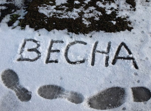 Ураган во Владикавказе, снег в Крыму: юг России во власти аномальной непогоды