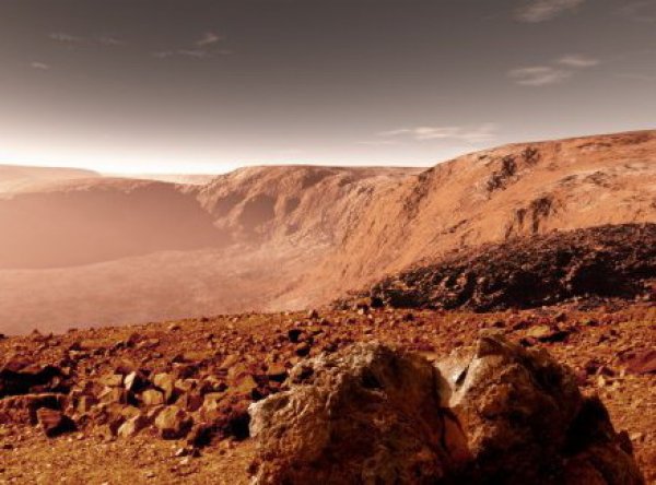 NASA показало фото "марсианского дерева"