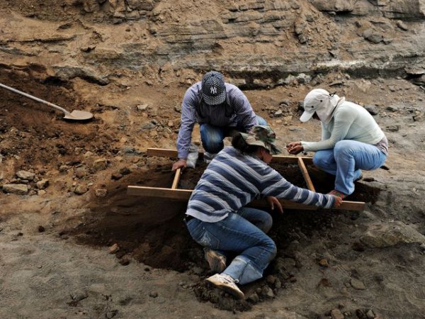 В Норвегии археологи нашли склад оружия возрастом три тысячи лет