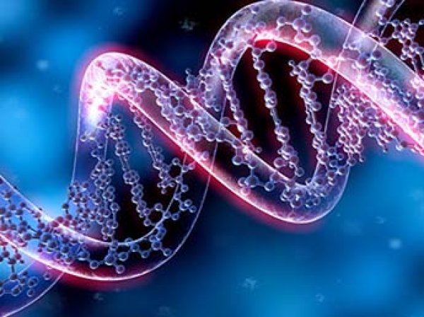 Российские ученые нашли уникальный ген, вызывающий рассеянный склероз