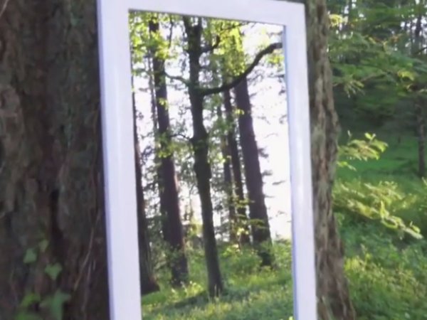 ВИДЕО оптической иллюзии с зеркалом взбудоражило пользователей Instagram